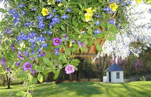 Chestnut Hill Bed & Breakfast Orange Esterno foto